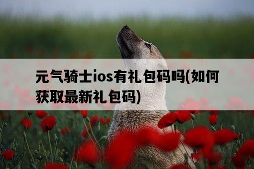 元氣騎士ios有禮包碼嗎，如何獲取最新禮包碼-圖1