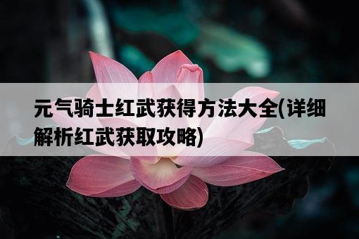 元氣騎士紅武獲得方法大全，詳細解析紅武獲取攻略-圖1