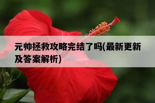 元帥拯救攻略完結了嗎，最新更新及答案解析-圖1