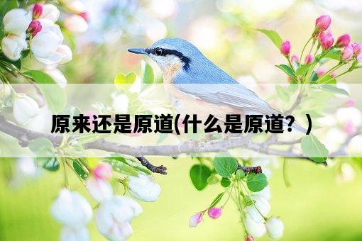 原來還是原道，什么是原道？-圖1