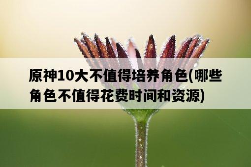原神10大不值得培養角色，哪些角色不值得花費時間和資源-圖1