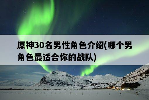 原神30名男性角色介紹，哪個男角色最適合你的戰隊-圖1