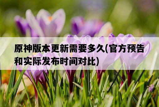 原神版本更新需要多久，官方預告和實際發布時間對比-圖1