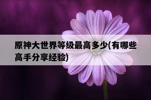 原神大世界等級最高多少，有哪些高手分享經驗-圖1