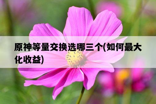 原神等量交換選哪三個，如何最大化收益-圖1