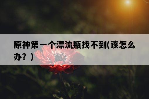 原神第一個漂流瓶找不到，該怎么辦？-圖1