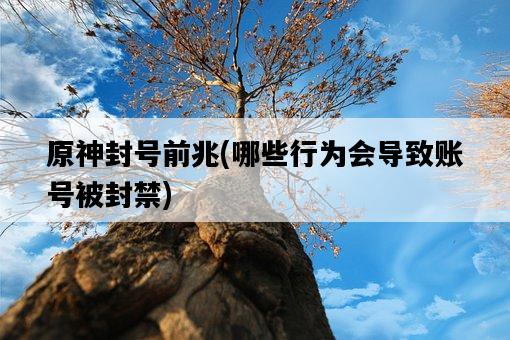 原神封號前兆，哪些行為會導致賬號被封禁-圖1