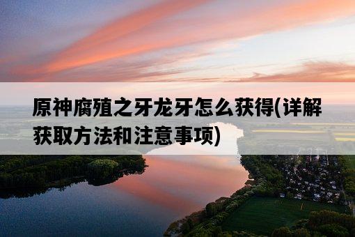原神腐殖之牙龍牙怎么獲得，詳解獲取方法和注意事項-圖1