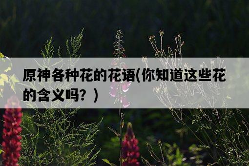 原神各種花的花語，你知道這些花的含義嗎？-圖1