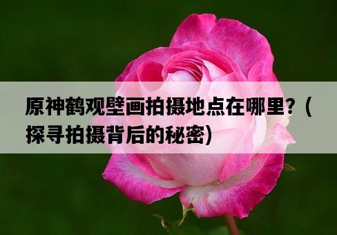 原神鶴觀壁畫拍攝地點在哪里？，探尋拍攝背后的秘密-圖1