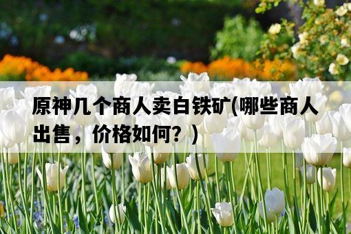 原神幾個商人賣白鐵礦，哪些商人出售，價格如何？-圖1