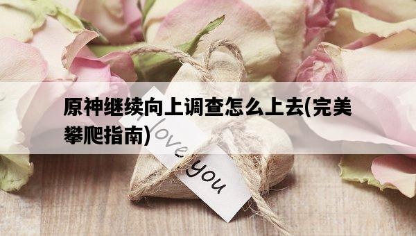 原神繼續向上調查怎么上去，完美攀爬指南-圖1