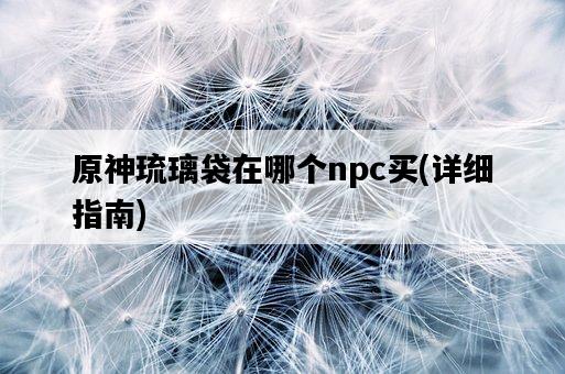 原神琉璃袋在哪個npc買，詳細指南-圖1