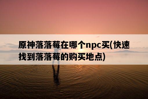 原神落落莓在哪個npc買，快速找到落落莓的購買地點-圖1