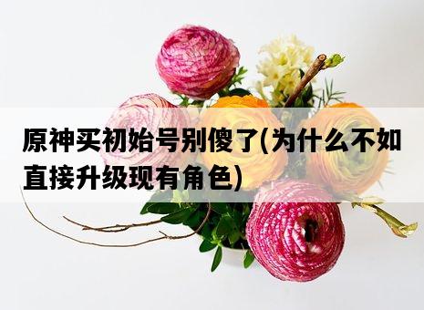 原神買初始號別傻了，為什么不如直接升級現有角色-圖1