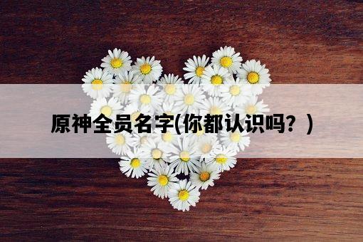 原神全員名字，你都認識嗎？-圖1