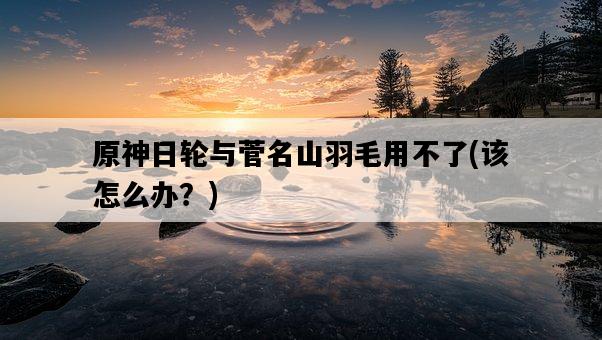 原神日輪與菅名山羽毛用不了，該怎么辦？-圖1