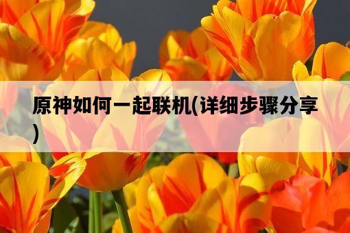 原神如何一起聯機，詳細步驟分享-圖1