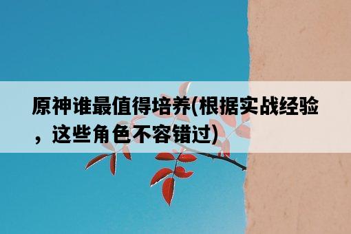 原神誰最值得培養，根據實戰經驗，這些角色不容錯過-圖1