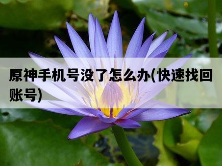 原神手機號沒了怎么辦，快速找回賬號-圖1