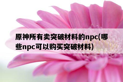 原神所有賣突破材料的npc，哪些npc可以購買突破材料-圖1