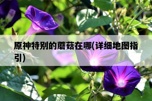 原神特別的蘑菇在哪，詳細地圖指引-圖1