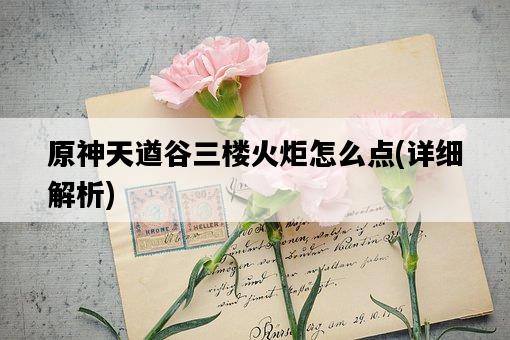 原神天遒谷三樓火炬怎么點，詳細解析-圖1