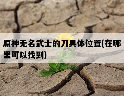 原神無名武士的刀具體位置，在哪里可以找到-圖1