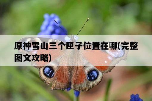 原神雪山三個匣子位置在哪，完整圖文攻略-圖1