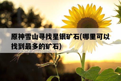 原神雪山尋找星銀礦石，哪里可以找到最多的礦石-圖1