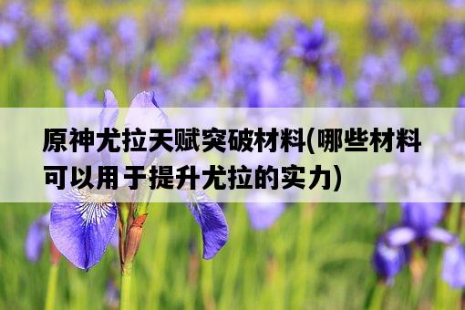 原神尤拉天賦突破材料，哪些材料可以用于提升尤拉的實力-圖1