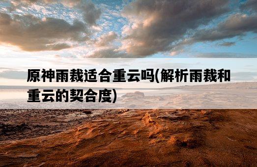 原神雨裁適合重云嗎，解析雨裁和重云的契合度-圖1