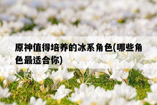 原神值得培養的冰系角色，哪些角色最適合你-圖1
