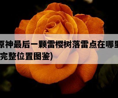 原神最后一顆雷櫻樹落雷點在哪里，完整位置圖鑒-圖1