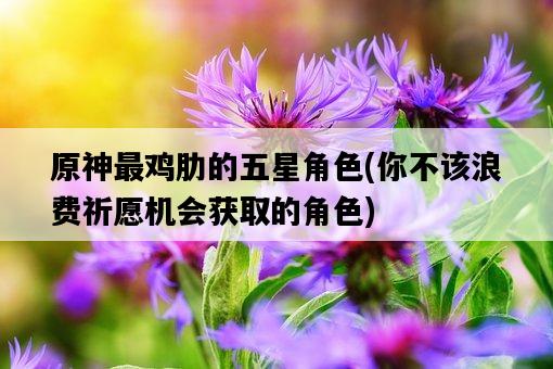 原神最雞肋的五星角色，你不該浪費祈愿機會獲取的角色-圖1