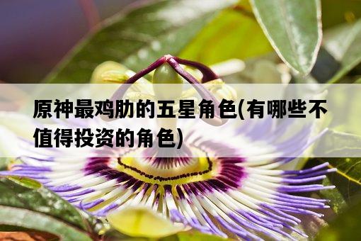 原神最雞肋的五星角色，有哪些不值得投資的角色-圖1