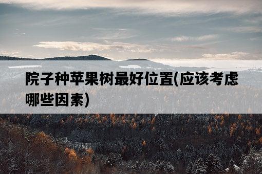 院子種蘋果樹最好位置，應該考慮哪些因素-圖1