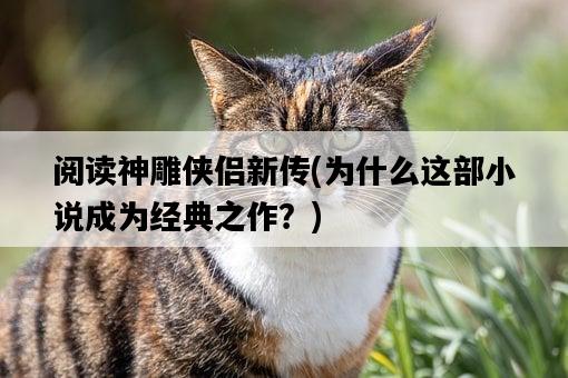 閱讀神雕俠侶新傳，為什么這部小說成為經典之作？-圖1