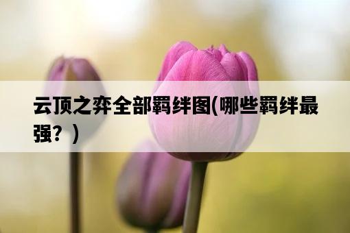 云頂之弈全部羈絆圖，哪些羈絆最強？-圖1