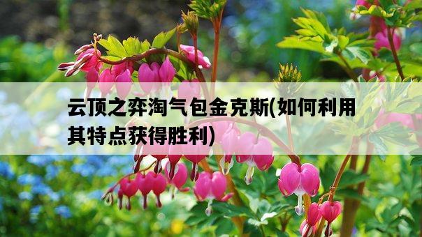云頂之弈淘氣包金克斯，如何利用其特點獲得勝利-圖1
