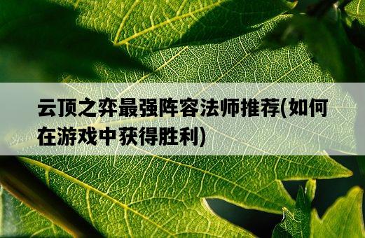 云頂之弈最強陣容法師推薦，如何在游戲中獲得勝利-圖1