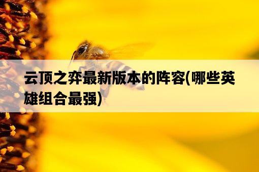 云頂之弈最新版本的陣容，哪些英雄組合最強-圖1