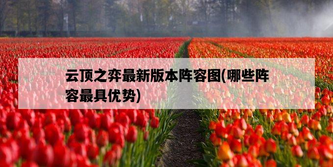 云頂之弈最新版本陣容圖，哪些陣容最具優勢-圖1