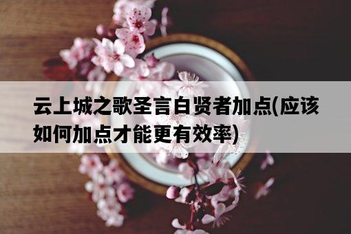 云上城之歌圣言白賢者加點，應該如何加點才能更有效率-圖1