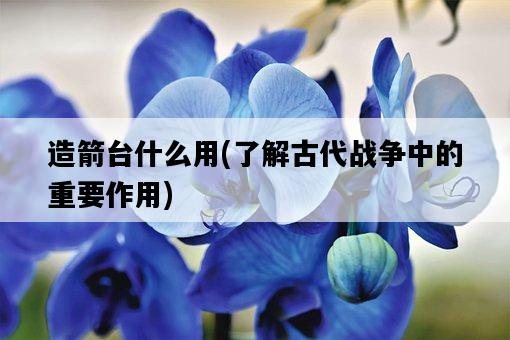 造箭臺什么用，了解古代戰爭中的重要作用-圖1