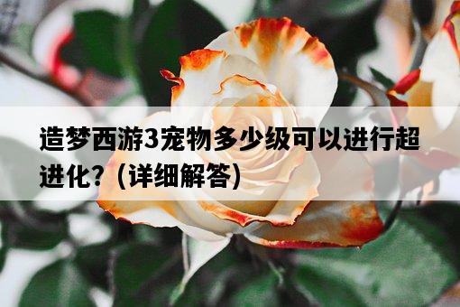 造夢西游3寵物多少級可以進行超進化？，詳細解答-圖1