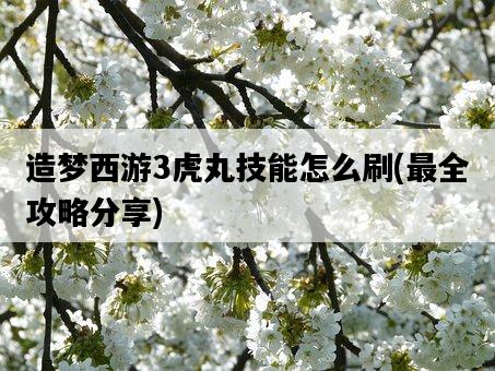 造夢西游3虎丸技能怎么刷，最全攻略分享-圖1