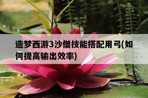 造夢西游3沙僧技能搭配用弓，如何提高輸出效率-圖1