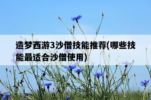 造夢西游3沙僧技能推薦，哪些技能最適合沙僧使用-圖1