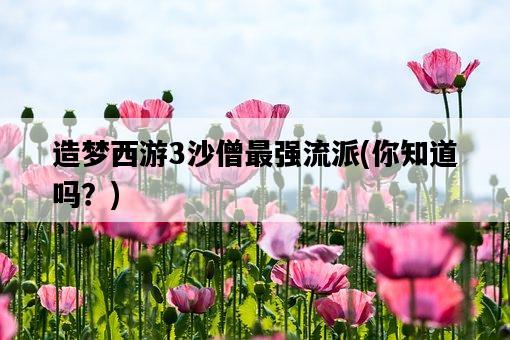 造夢西游3沙僧最強流派，你知道嗎？-圖1